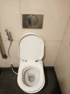 een verstopt toilet is een veelvoorkomend rioolprobleem